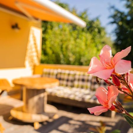 Apartment Sonnenschein Веймар Экстерьер фото